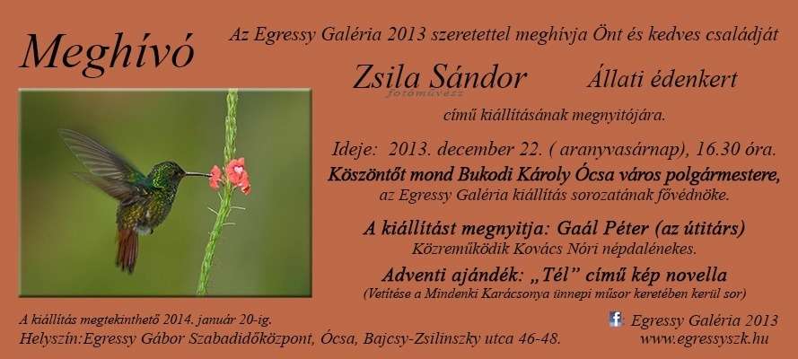 Zsila Sándor: Állati édenkert - fotókiállítás