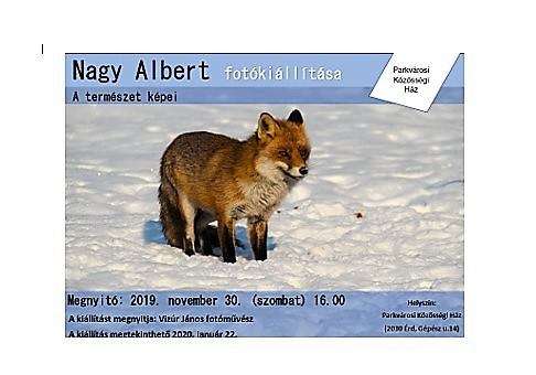 Nagy Albert fotókiállítása - A természet képei