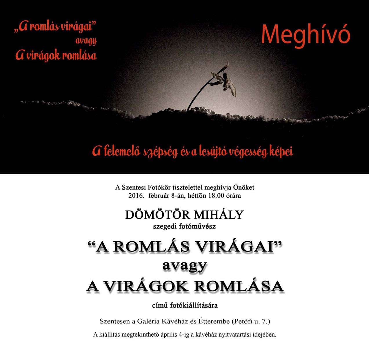A romlás virágai, avagy a virágok romlása