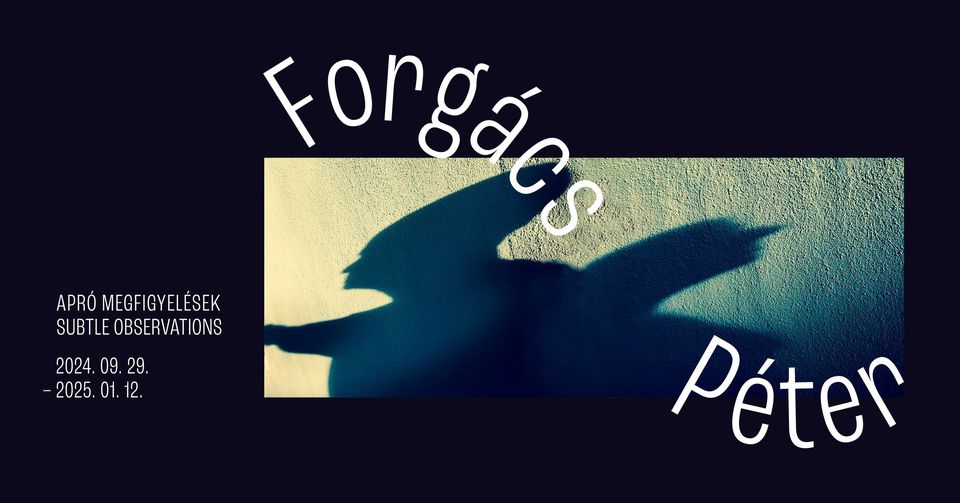 FORGÁCS PÉTER: Apró megfigyelések | MEGNYITÓ