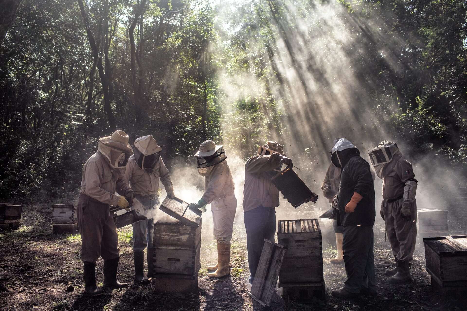 10/15 Tárlatvezetés a World Press Photo Kiállításban