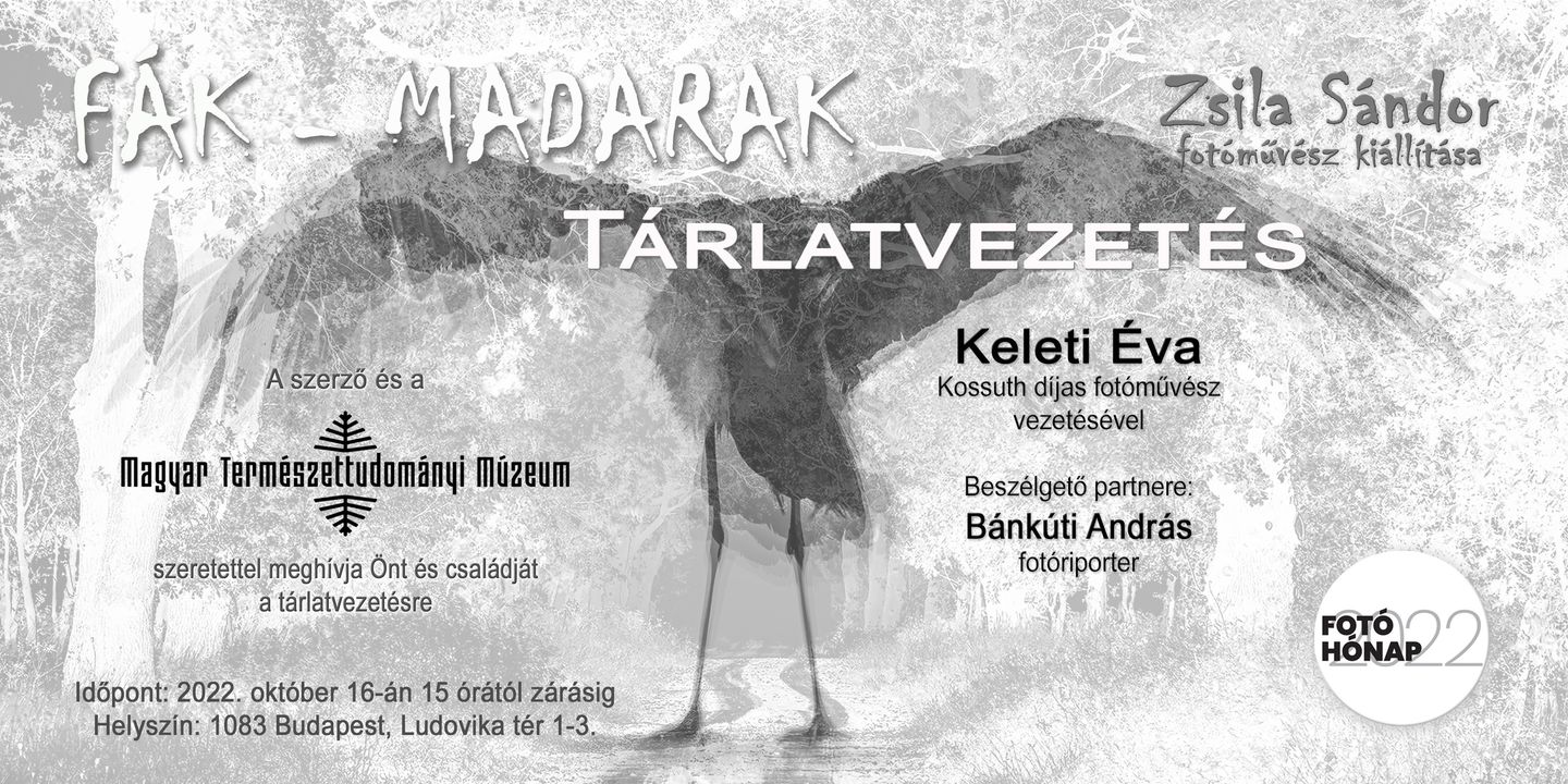 Zsila Sándor: FÁK-MADARAK - Tárlatvezetés