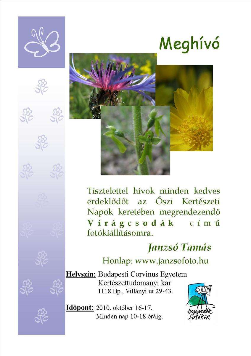 Janzsó Tamás - Virágcsodák