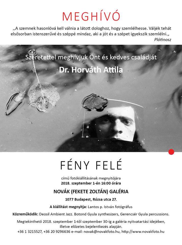 FÉNY FELÉ
