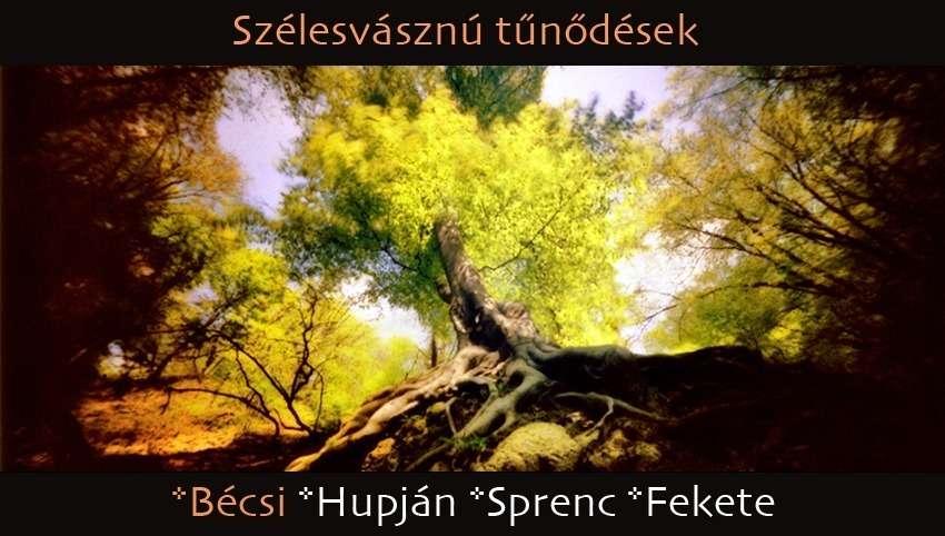 Szélesvásznú tűnődések