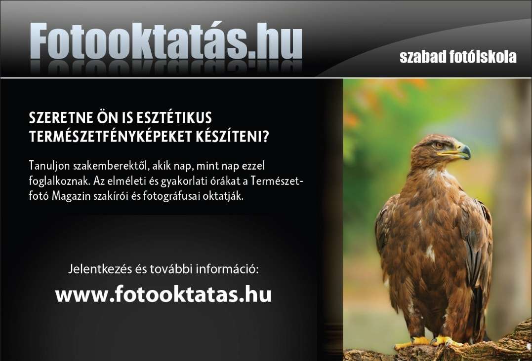 A fotooktatas.hu szabadiskola felvételt hirdet Kezdő természetfotó tanfolyamára