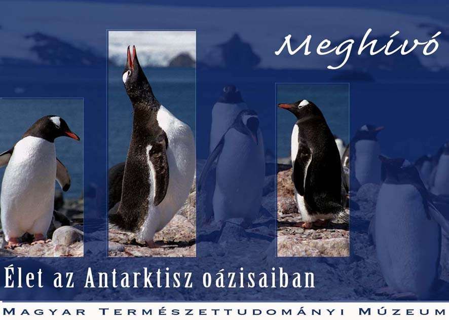 Randevú az Antarktisszal c. hétvégi program