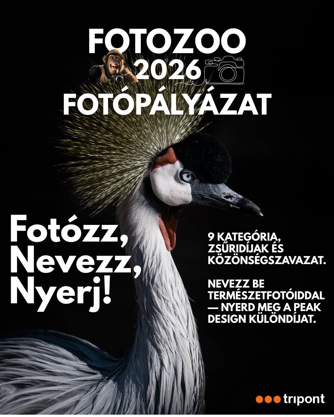 Fotozoo 2026 - Fotópályázat
