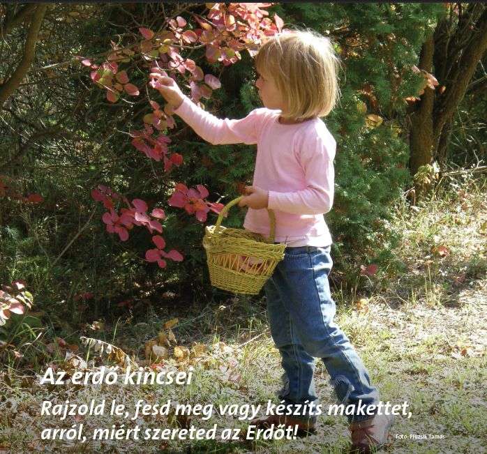 Az erdő kincsei - fotókiállítás