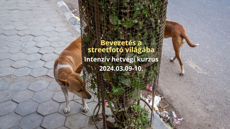 Jelentkezés: Bevezetés a streetfotó világába - Intenzív hétvégi kurzus