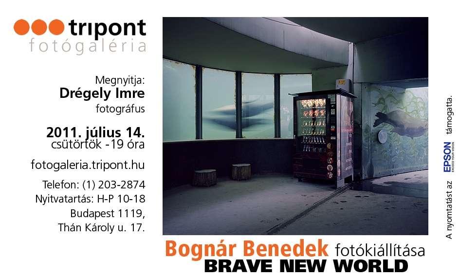 Bognár Benedek - Brave New World