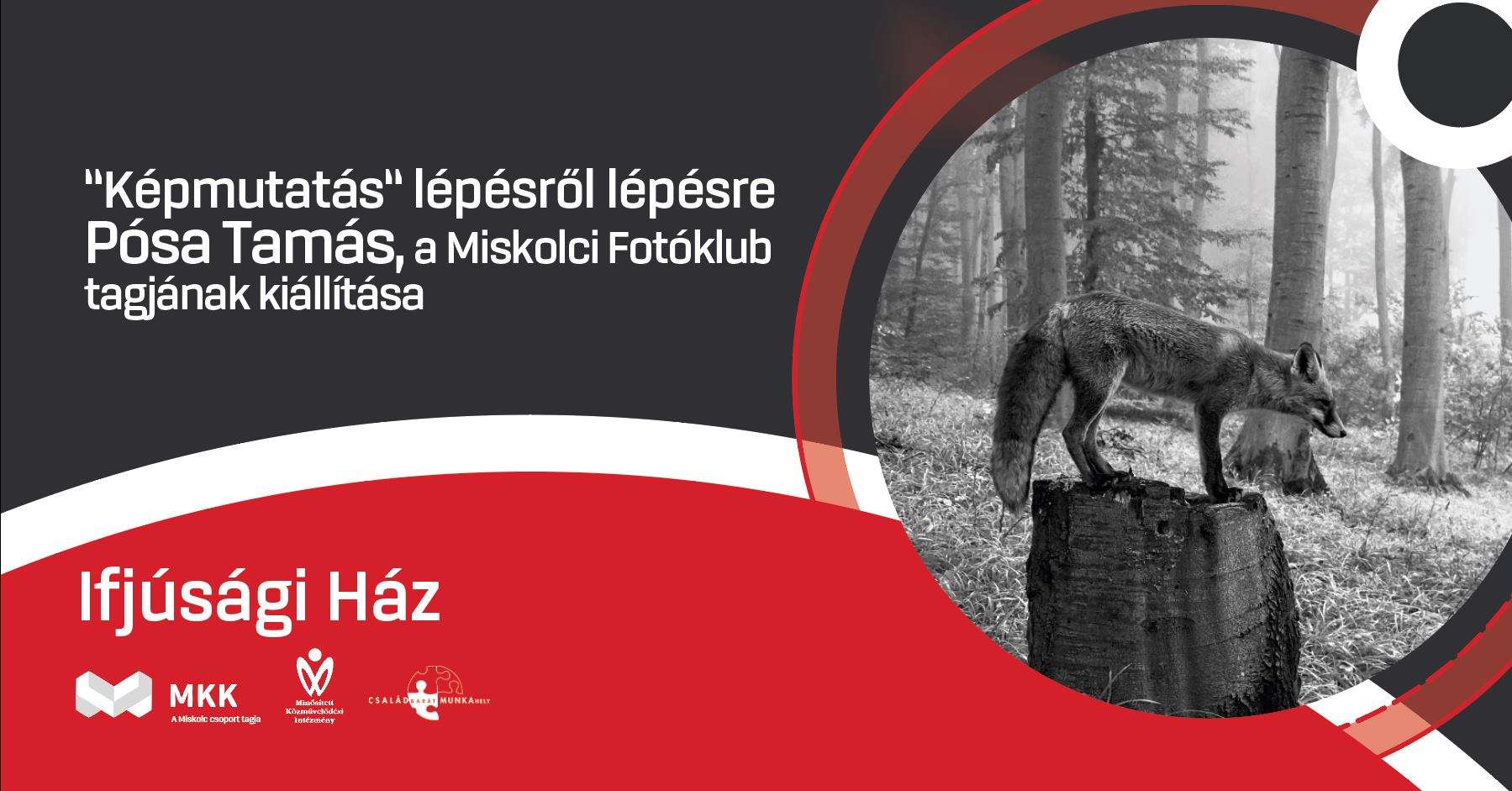 Pósa Tamás: "Képmutatás" lépésről-lépésre - Kiállításmegnyitó