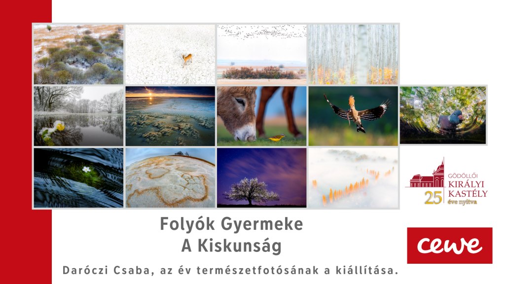 "Folyók Gyermeke, A Kiskunság" - Daróczi Csaba, az év természetfotósának a kiállítása