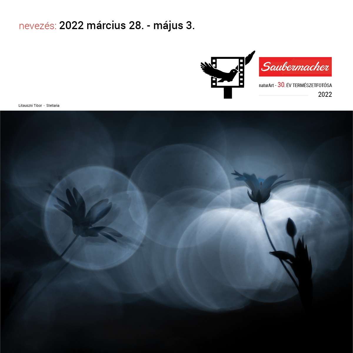 Élőben: ÉTF2022 - Zsűrizés 3. forduló
