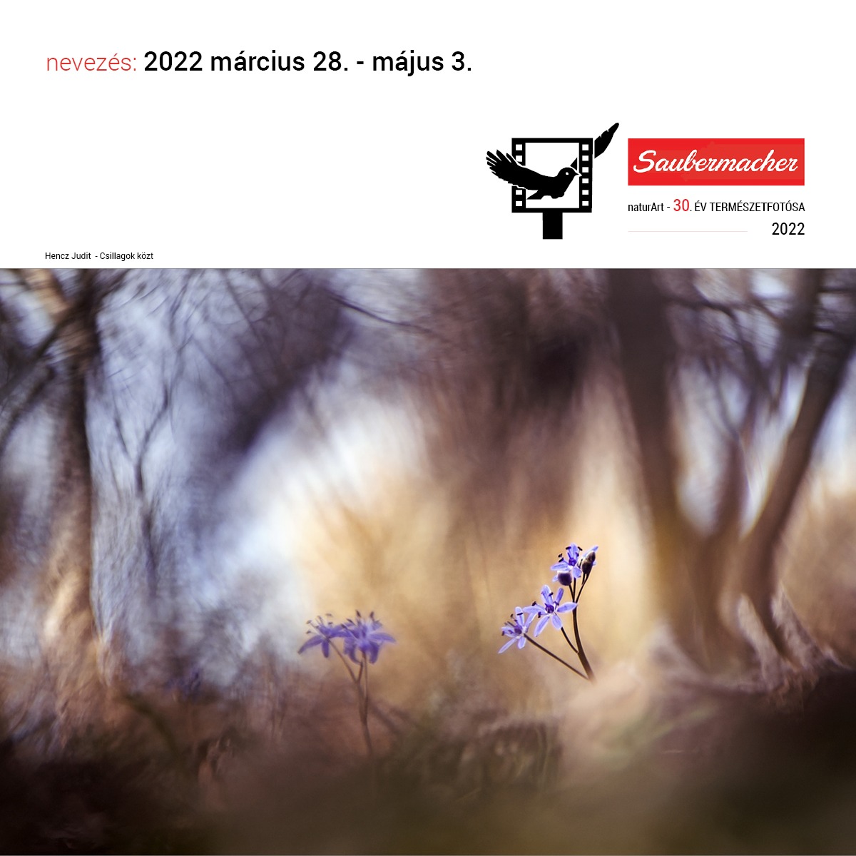 Élőben: ÉTF2022 - Zsűrizés 2. forduló