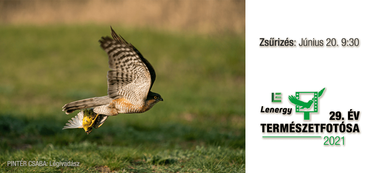Élőben: ÉTF2021 - Zsűrizés 3. forduló