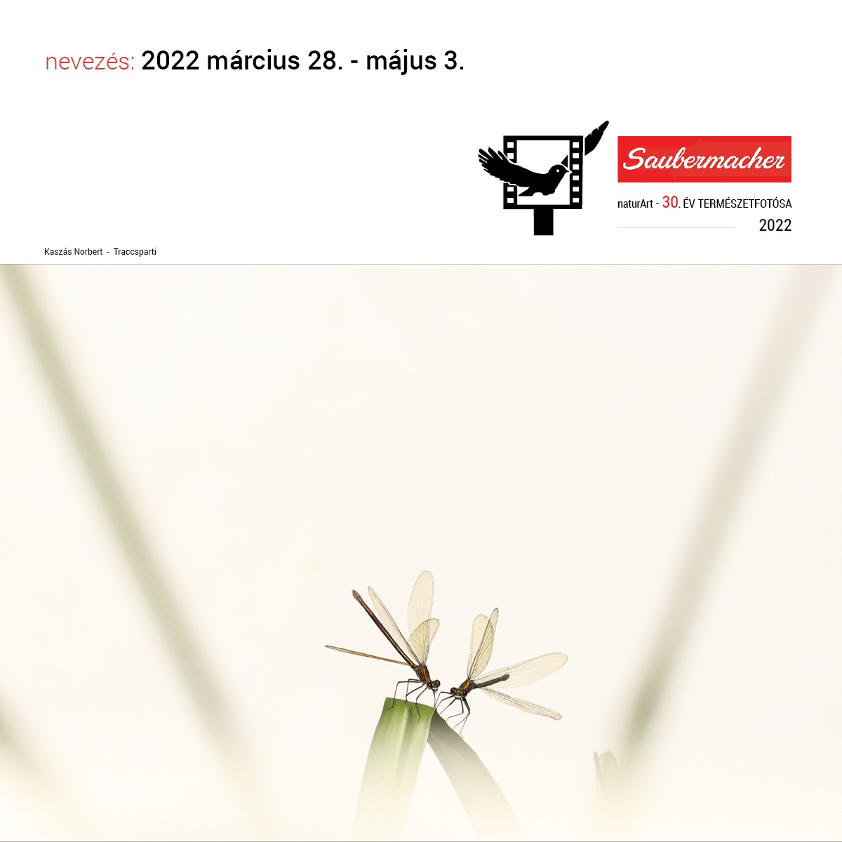 ÉTF2022 - Zsűrizés 1. forduló